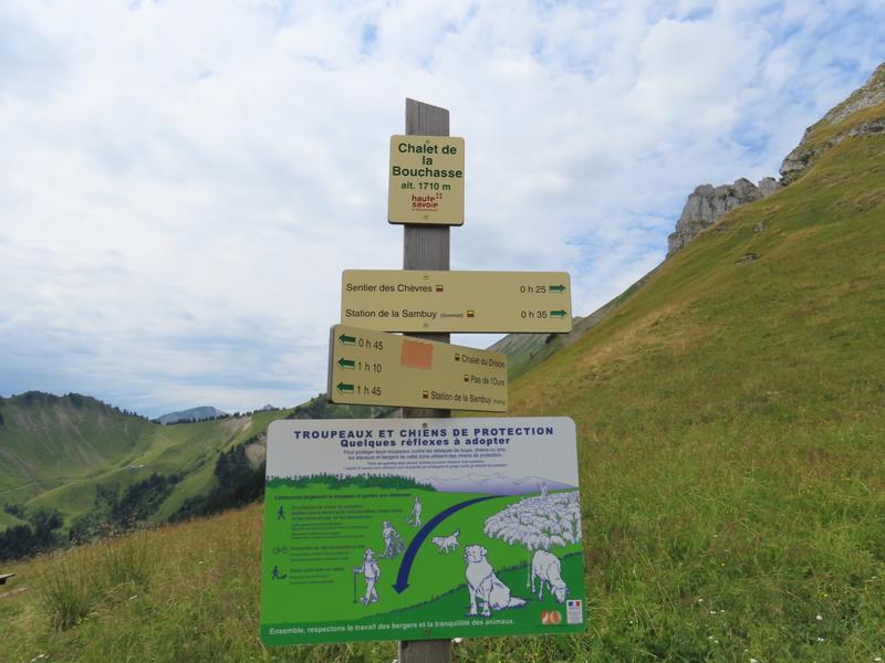 Panneau d'information sur les chiens de protection en montagne