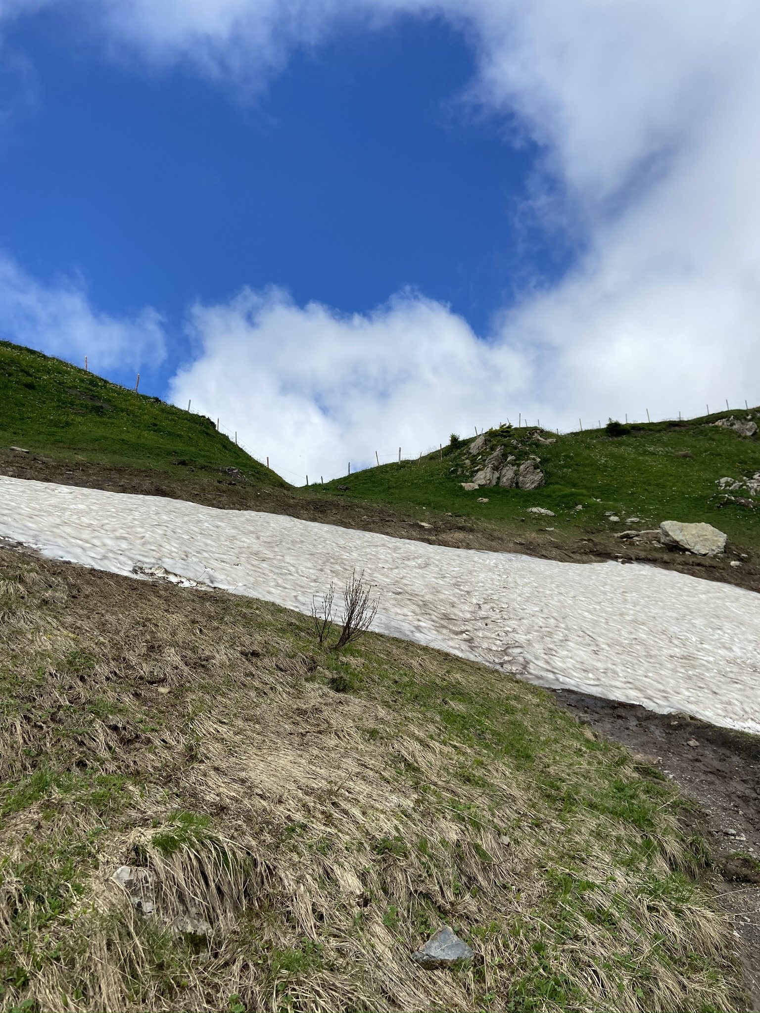 Névé sur un sentier de montagne au printemps