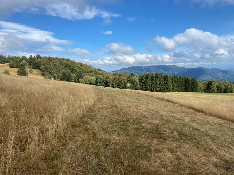 Guide de voyage, road trip et trek en France