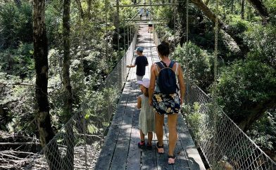 balade-pont-de-singe