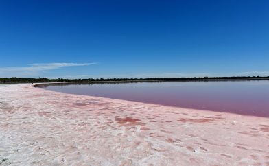 pink-lake