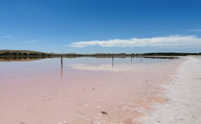 pink-lake